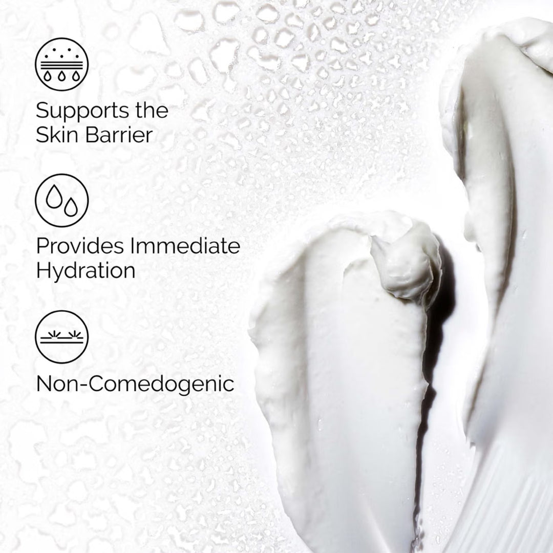 THE ORDINARY - Natural Moisturizing Factors + HA - 100 ml